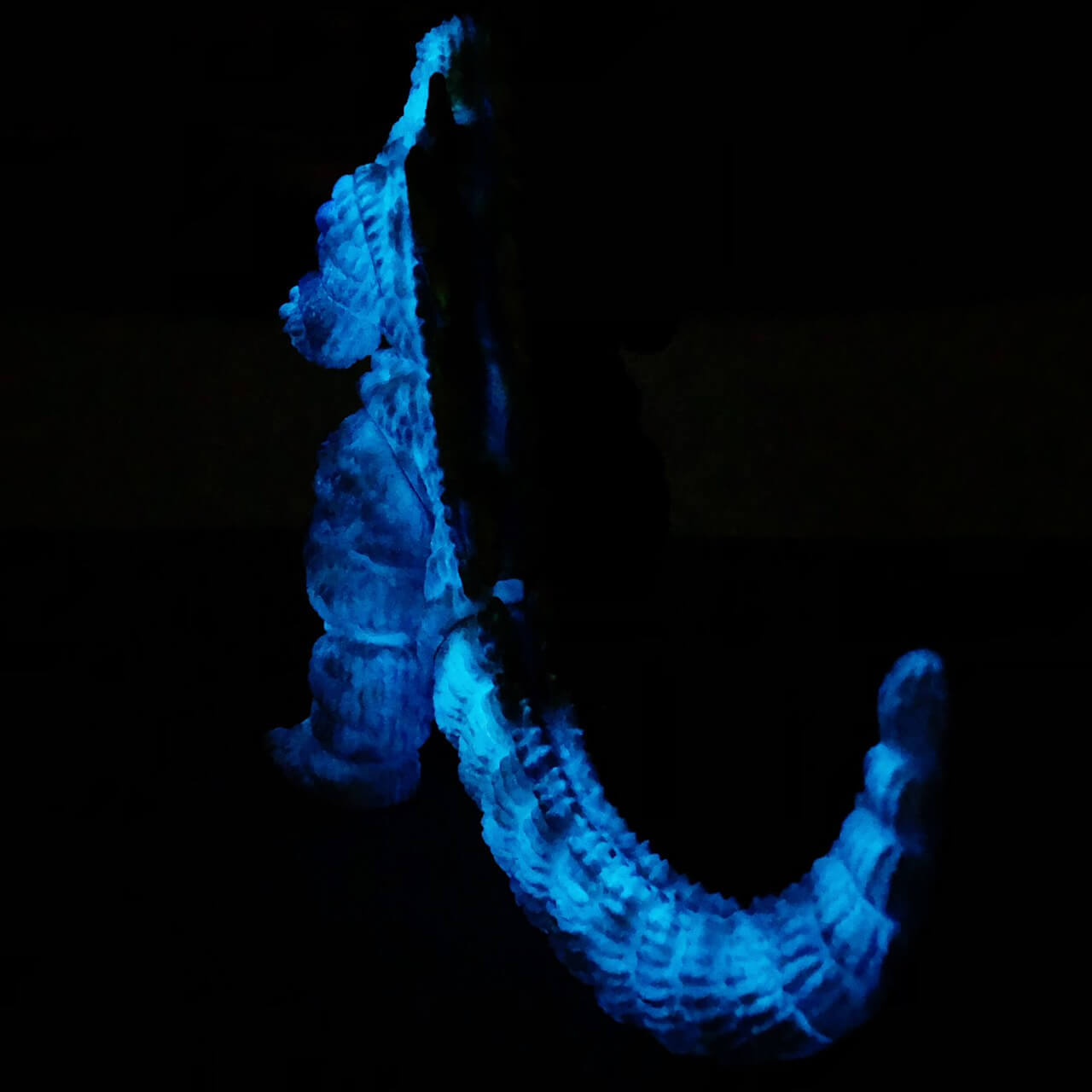 紅蓮哥吉拉(marmit)的第10張圖片